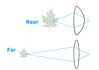 diagram of the human eye lense